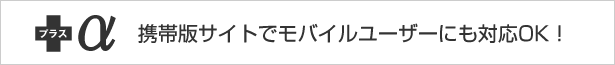 携帯サイトも持てる！